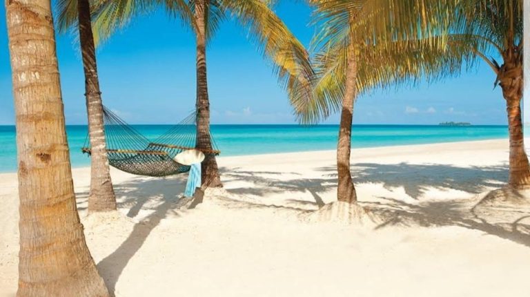 This is when I first had the vision to wake myself up and create a path circa 1972.